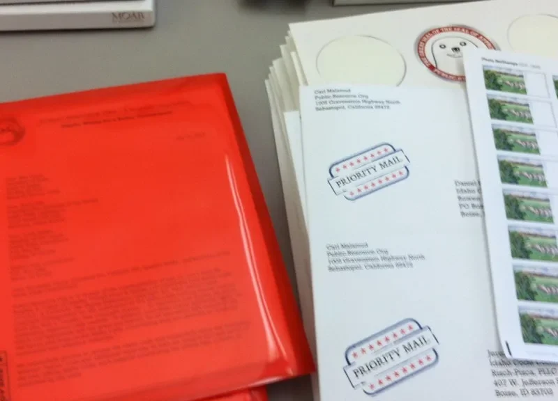 Bali Export Customs Clearance: Step-by-Step Guide
